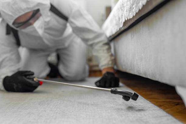 Professional Cockroach Control technician working in McLean, TX