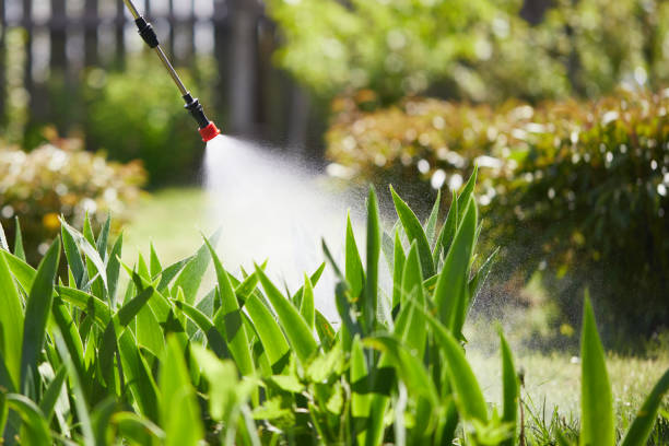 24/7 Emergency Cockroach Control experts in McLean, TX